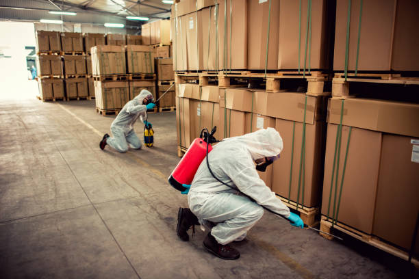 Best Flea Control Services  in Heber Overgaard, AZ