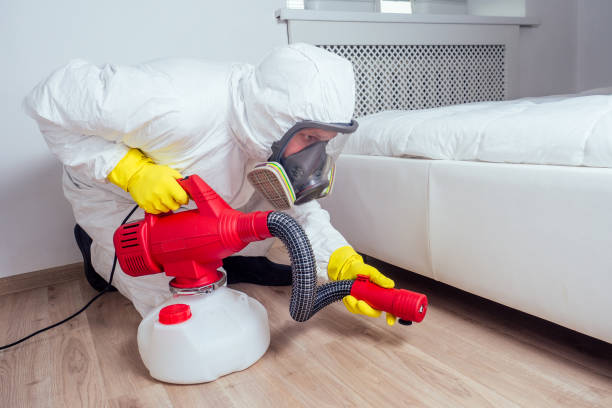 Best Residential Pest Control  in Heber Overgaard, AZ
