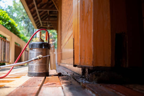 Best Best Pest Control Companies  in Heber Overgaard, AZ