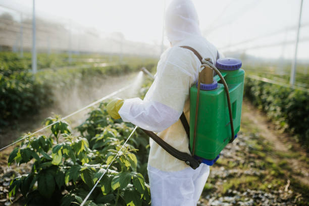 Pest Control Cost in Heber Overgaard, AZ